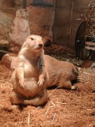 -Zoolung Zoolung动物主题公园(海信广场店)