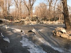 -北京动物园