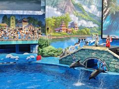-海合安成都极地海洋公园