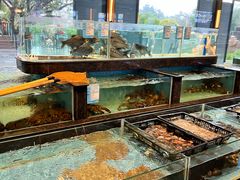 -沙河粉村·国家非遗传承(云台店)