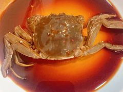 酱汁毛蟹-红灯笼龙凤饭店(宁波老字号店)