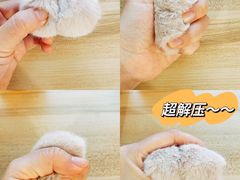 -猫员外精酿啤酒馆(壹海城店)