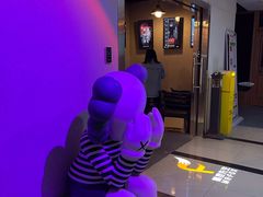 -Mr.Fox狐狸先生超级密室(南山店)