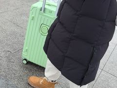 -农夫大盘鸡(经八路总店)