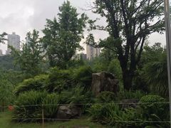 -龙头寺公园
