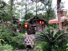 -青城甲(青城山店)