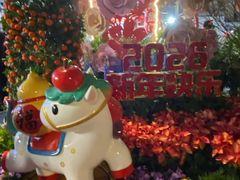 -越秀西湖花市(广州城市广场花卉店)