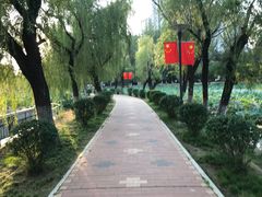 -渭滨公园