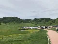 -关山草原