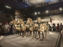 -秦始皇帝陵博物院-丽山园