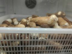 -太婆天府山珍酒楼(亚运村店)