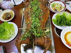 -杨正宗烤全羊(北二环店)