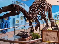 -陕西自然博物馆