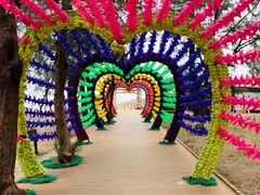 -北海金海湾红树林生态旅游区