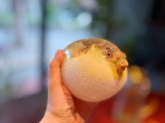 -永安鱼庄·镇江菜(东吴路店)