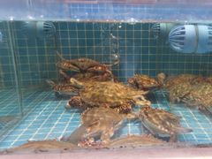 -妈妈菜舟山海鲜(定海古城店)