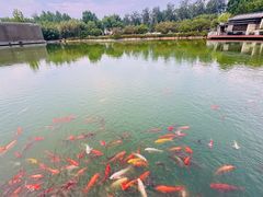 -春晖园度假酒店温泉