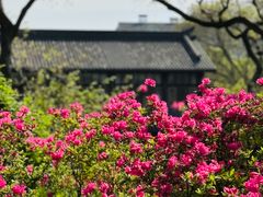 -莫愁湖公园