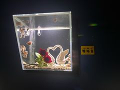 -邯郸海洋世界