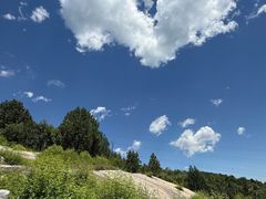 -白水寺森林公园