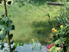 -芦茨金富饭庄·25年老字号·专做稻草鸡