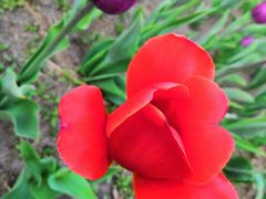 -长春公园(普阳街道)