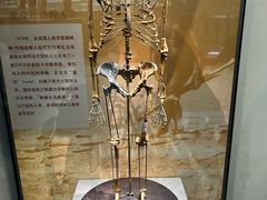 -天津自然博物馆
