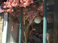 门面-喵屿·大理花园猫咖