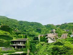 -枸杞岛