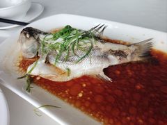 -云中小雅