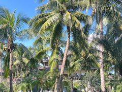 -海南清水湾莱佛士酒店