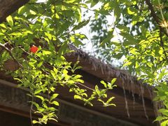 -驿舍·民國老营房院子私房菜(科学会堂店)