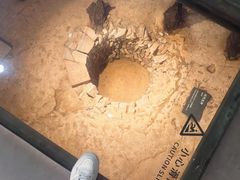 -南越王博物院(王宫展区)