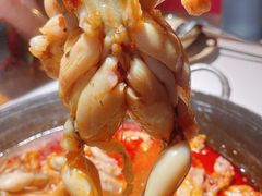 牛蛙-老天桥蛙炉火锅(姑苏总店)