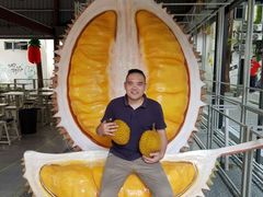 -都念榴莲·城市榴莲