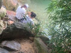 -南海湾森林生态园