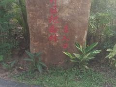-聚龙山公园