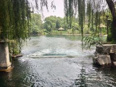 -百脉泉景区