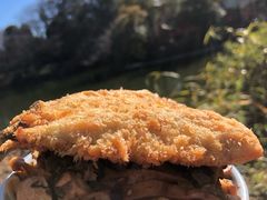 -井之头恩赐公园