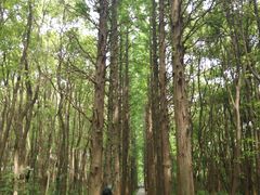-同里国家湿地公园