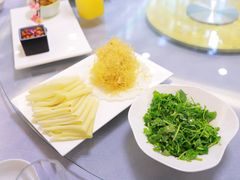 -丁老爷子苏香圆