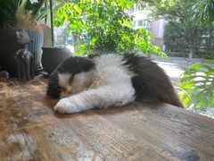 -花到家(富贵鸟花艺行)