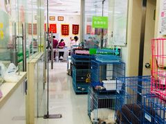 -瑞鹏宠物医院·微创内窥镜·骨外科·牙科(翠竹分院)