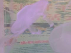 -梦幻海洋王国(吾悦广场张家港店)