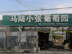-马陆小张葡萄园农家乐