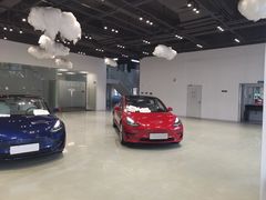-TESLA 特斯拉(深圳观澜特斯拉直营钣喷中心)