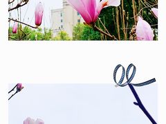 -重庆市江北嘴中央商务区中央公园