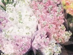 -循礼门鲜花花市(武汉循礼门店)