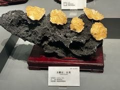 -湖南省地质博物馆