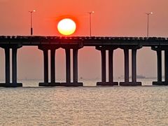 -宝安西湾红树林湿地公园